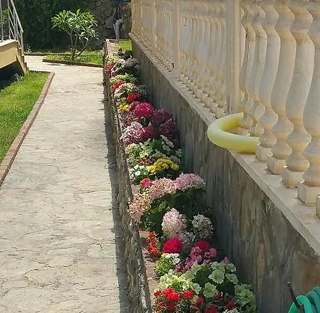 Muzuri Kargicak (Alanya)