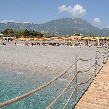 Muzuri Kargicak (Alanya)