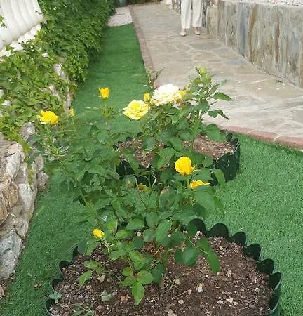 Muzuri Case de vacanță